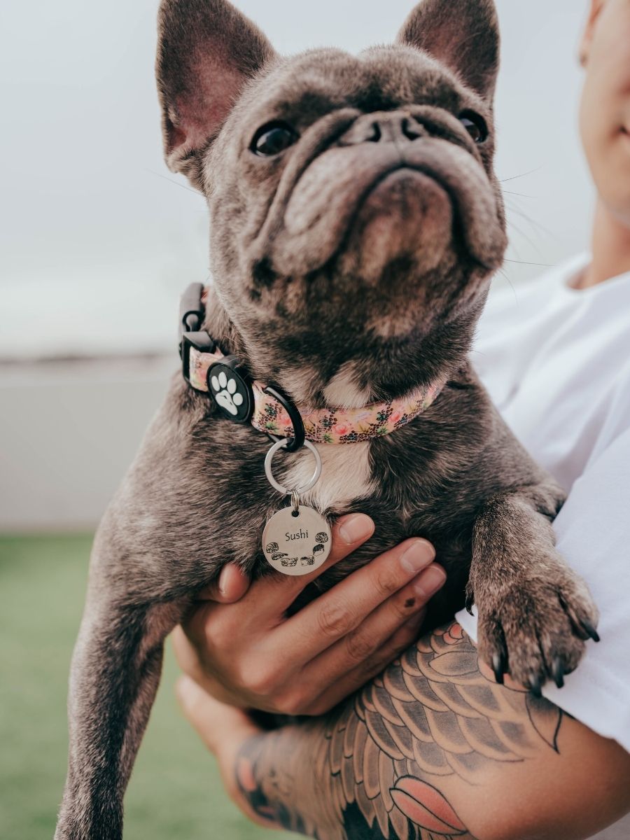 Sushi Me Rolling Engraved Pet ID Tag