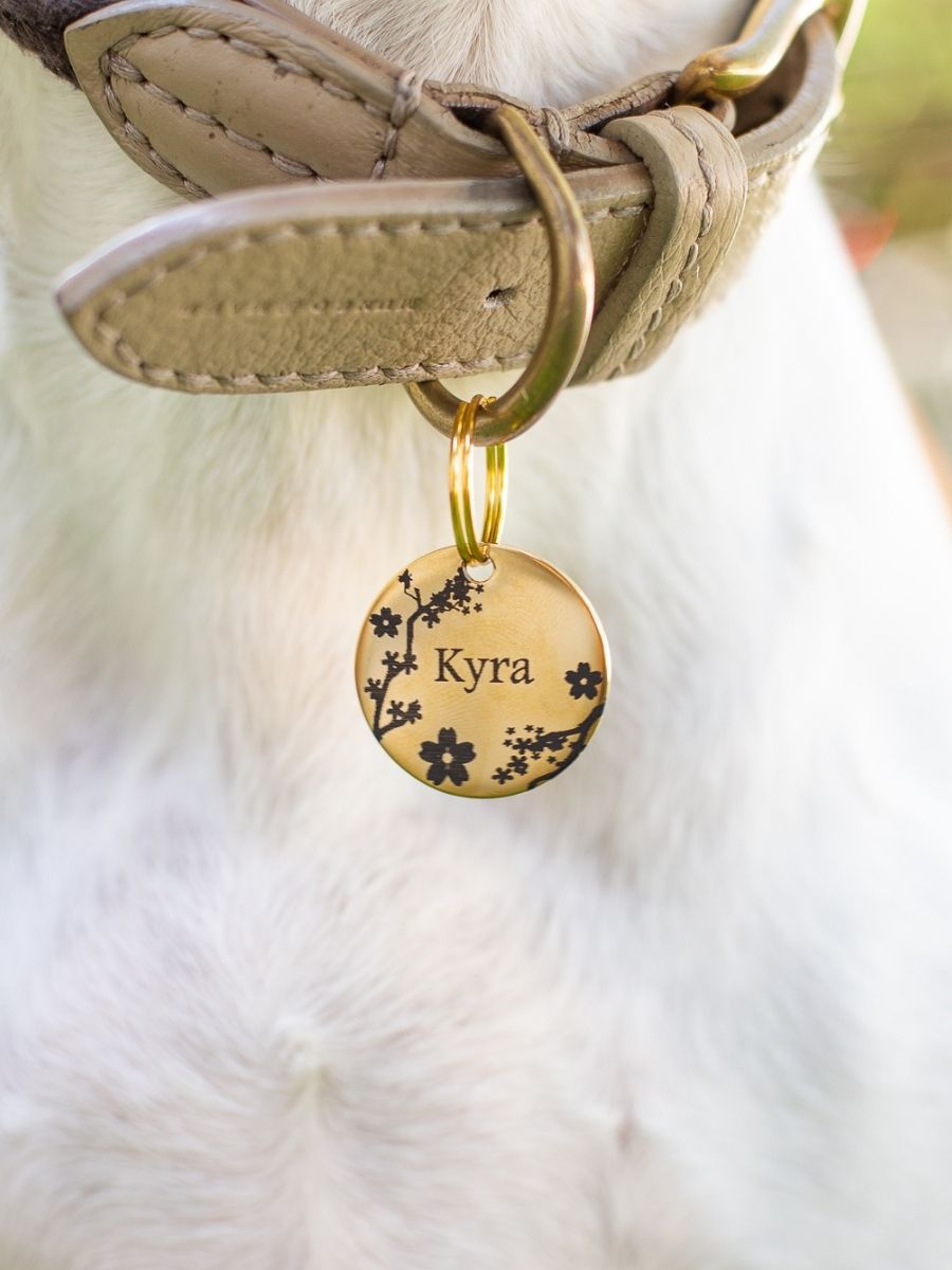 Sakura Engraved Pet ID Tag