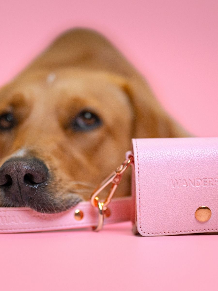 Bubblegum (Pink) Allure Pawbag - Poo Bag