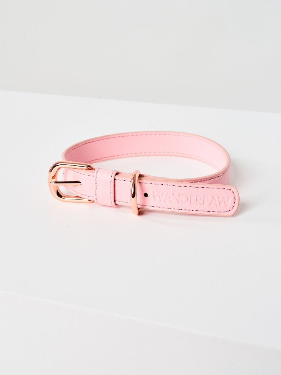 Bubblegum (Pink) Allure Collar