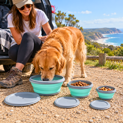 WanderPaw™ Travel Essentials Bundle